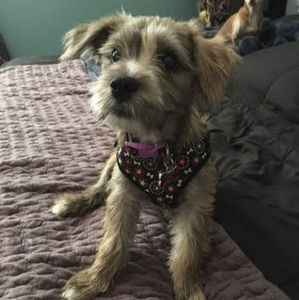 Meet your Posher, Kimberly